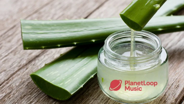 lidah buaya