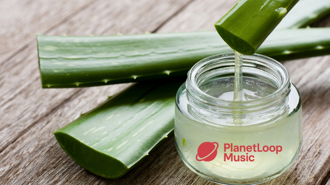 lidah buaya